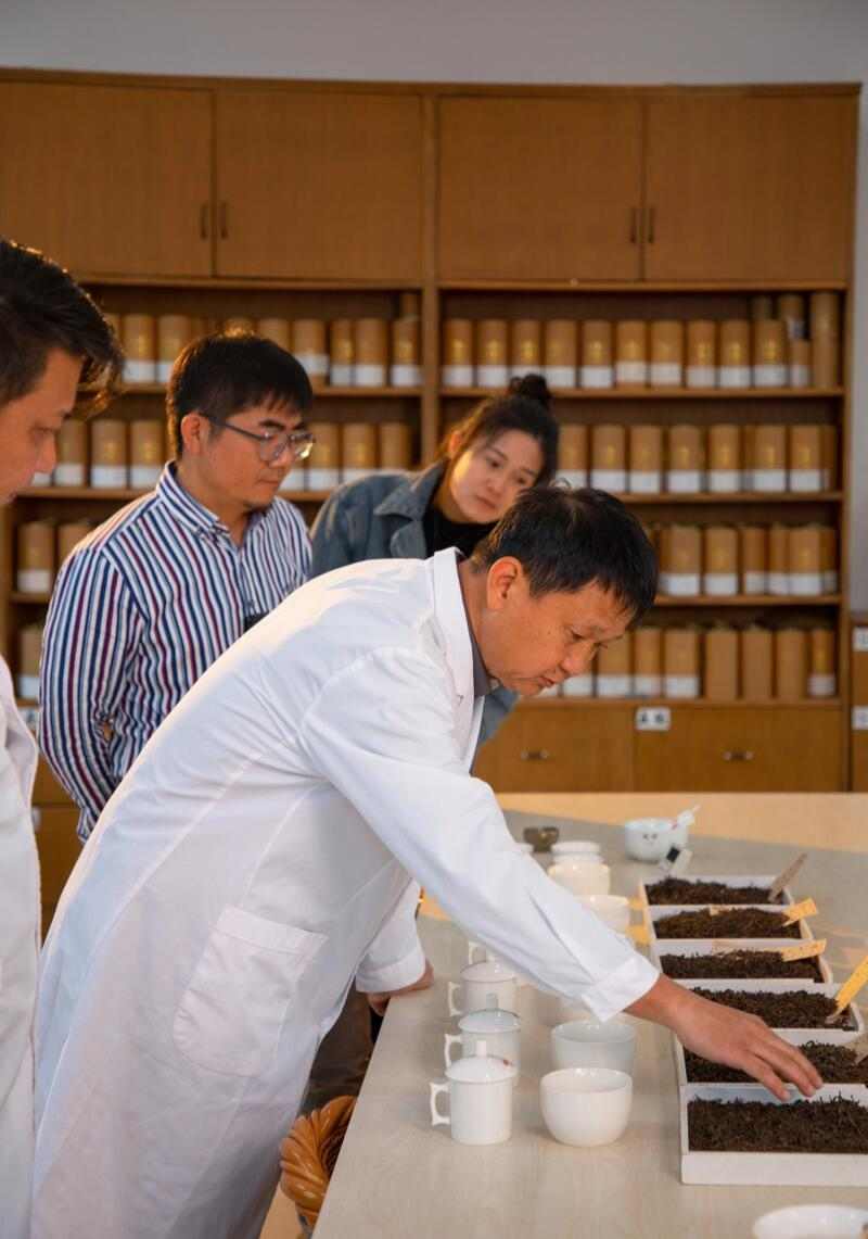 拼配与纯料茶：不是对立而是互补