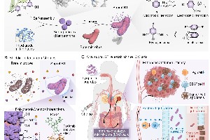 园艺学院杜晓教授团队揭示茶多酚参与肿瘤化疗的增效减毒新策略