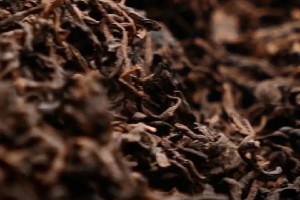 你喝的普洱熟茶 会苦吗？