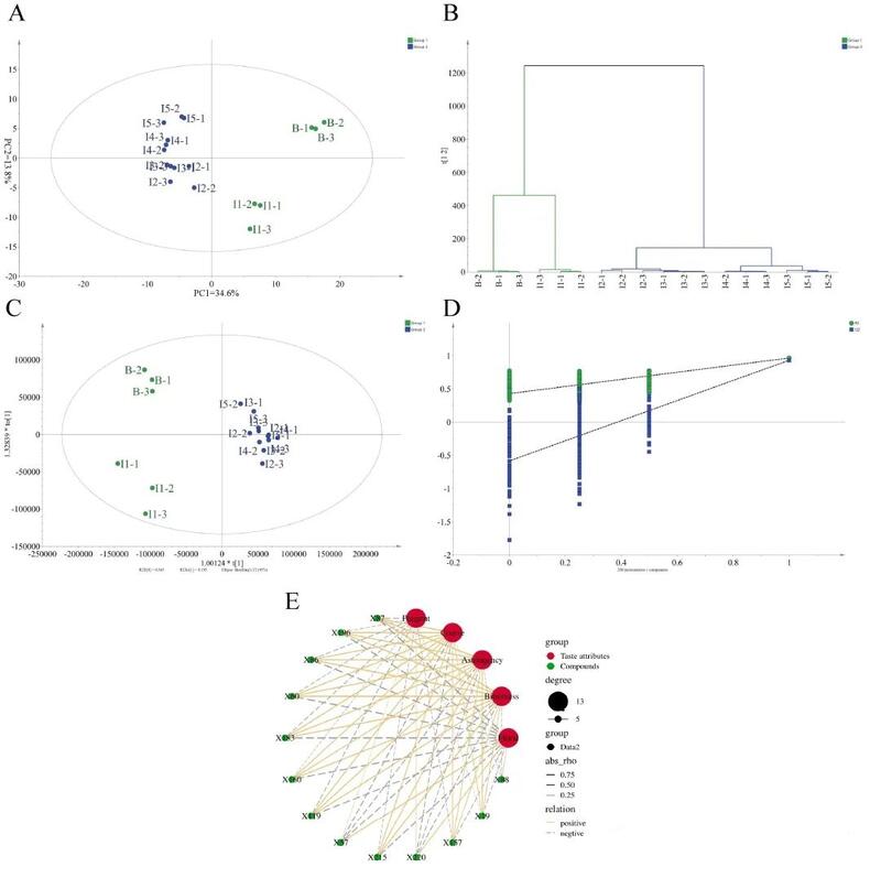 代谢组学解析茶、花分离窨花（isolated scenting）对碎绿茶滋味的影响