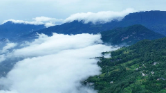 跟着赛事看非遗：蒙顶山茶来助力！！（2）