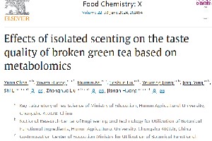 代谢组学解析茶、花分离窨花（isolated scenting）对碎绿茶滋味的影响