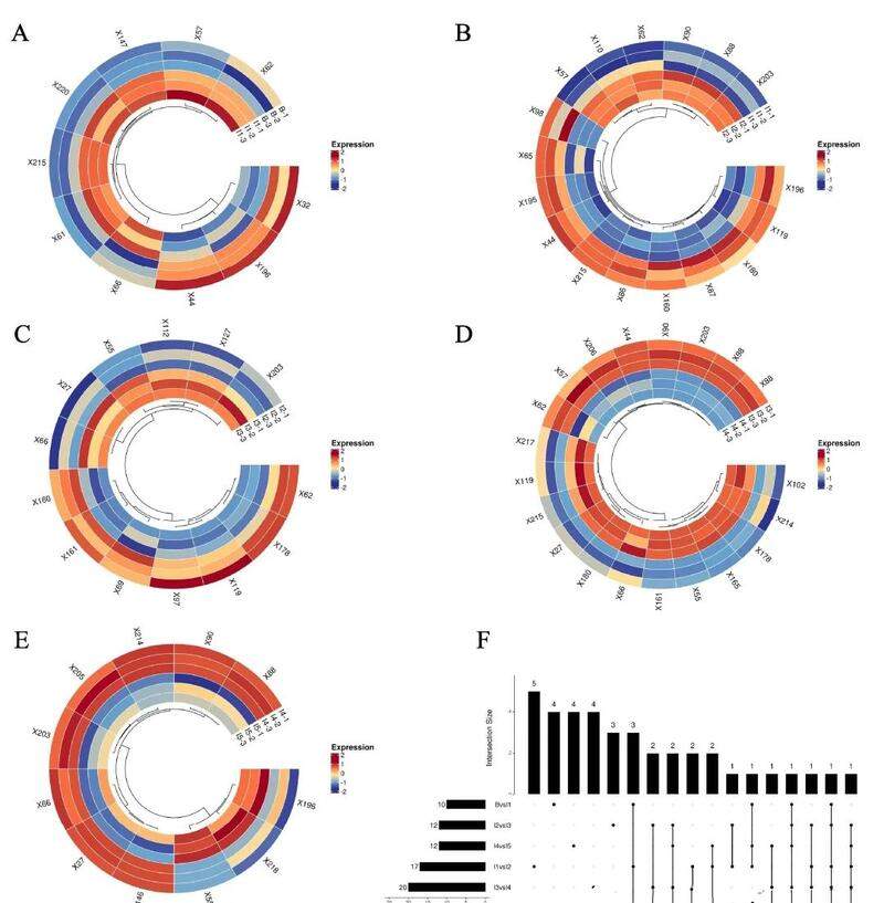 代谢组学解析茶、花分离窨花（isolated scenting）对碎绿茶滋味的影响