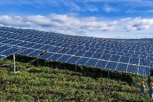 茶园光伏技术应用研究进展与展望