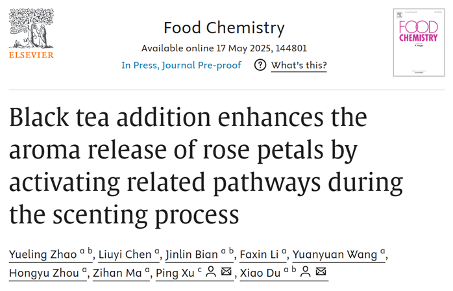 四川农业大学杜晓教授团队Food Chemistry成果：红茶窨制激活代谢途径提升玫瑰花香释放的关键机制