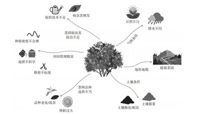 低产低效茶园改造技术研究 低产低效茶园改造技术研究