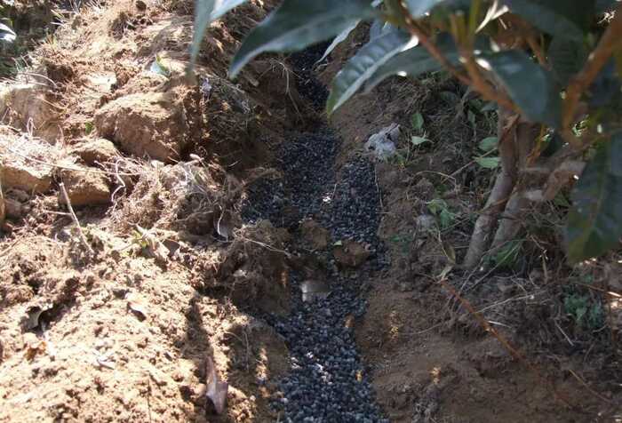 低产低效茶园改造技术研究 低产低效茶园改造技术研究