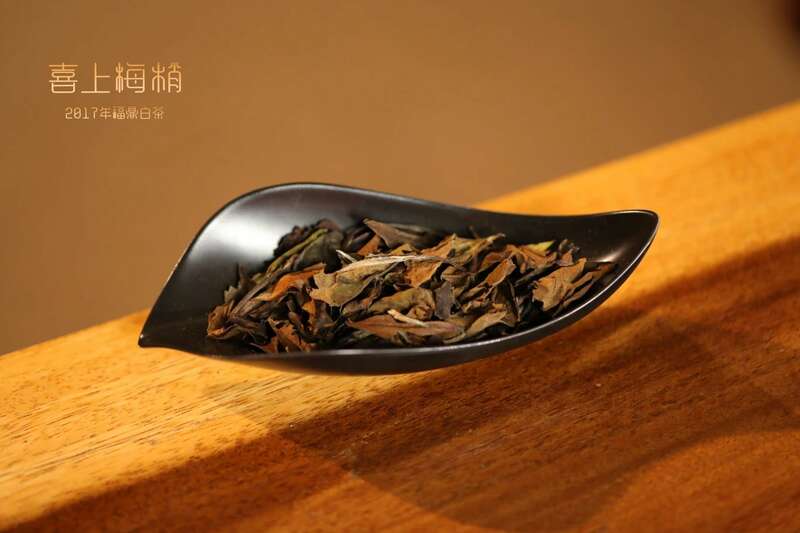 妙贡堂喜上梅梢,喝出好彩头 brand_alt_mark