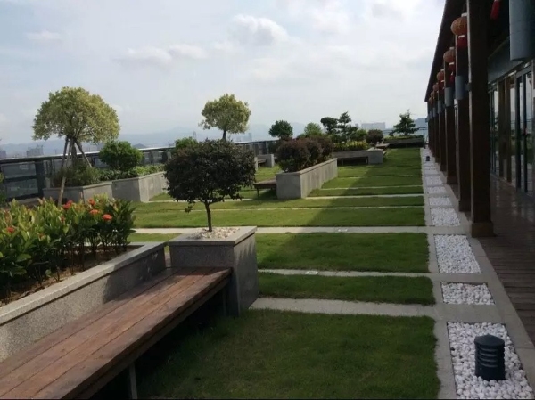 精心设计的屋顶花园——享受阳光与美景的完美融合