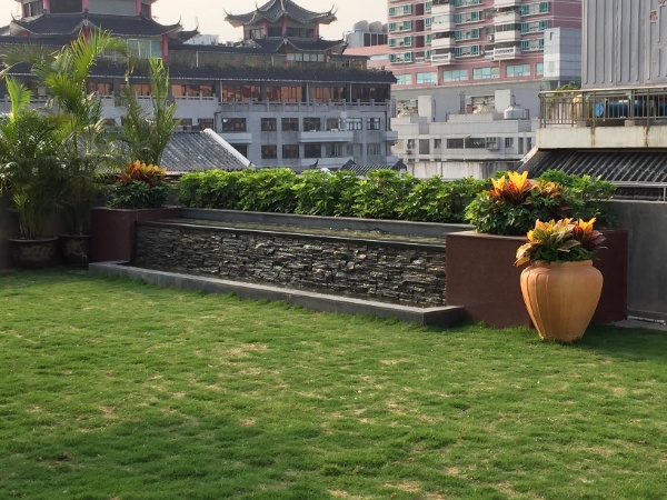 “马尼拉草皮:结缕草品种绿化工程的优选草皮” resized-微信图片_20251128120203_663_39.jpg