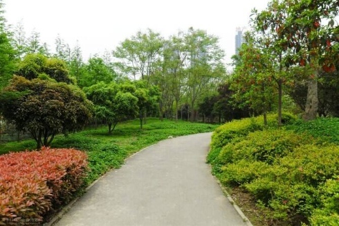 江南古典园林再现!涵境园艺私家园林景观项目,打造顶级奢华生活空间 resized-微信图片_20251128144646_731_39.jpg