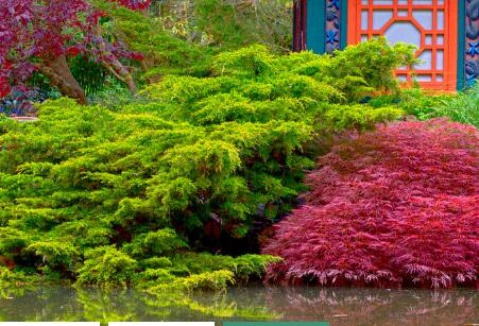 江南古典园林再现!涵境园艺私家园林景观项目,打造顶级奢华生活空间 resized-微信图片_20251128144646_732_39.jpg